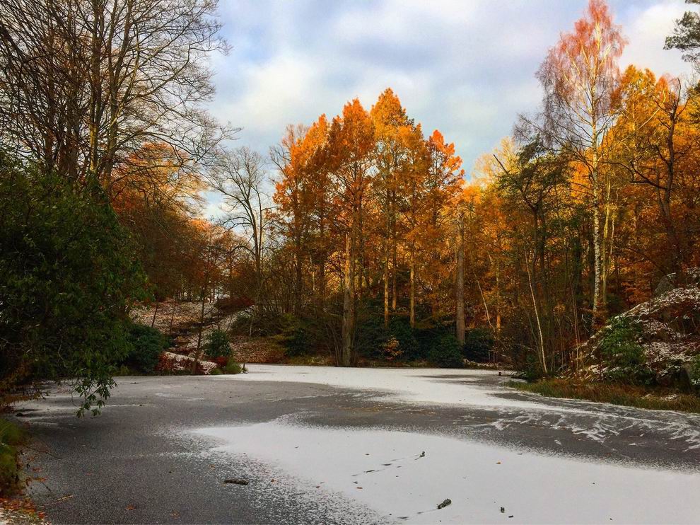 Göteborg Slottskogen