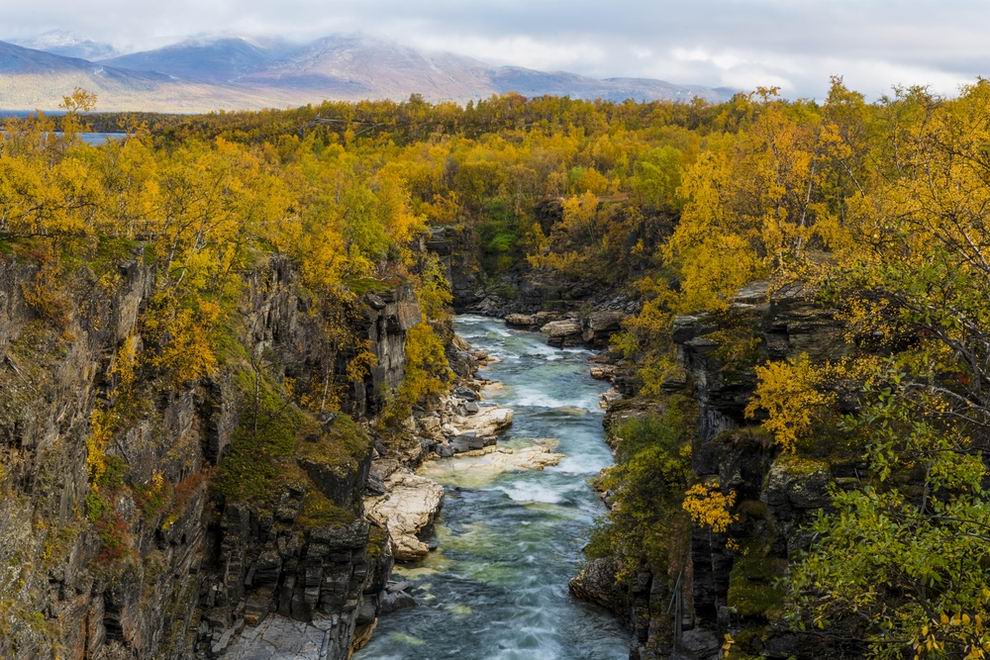 Abisko