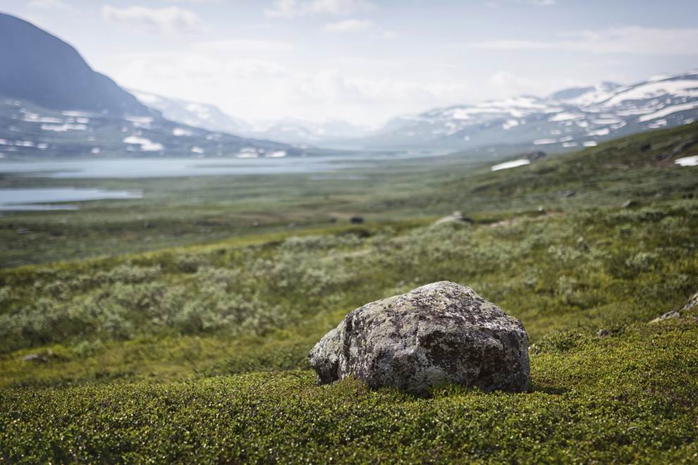 Lappföld